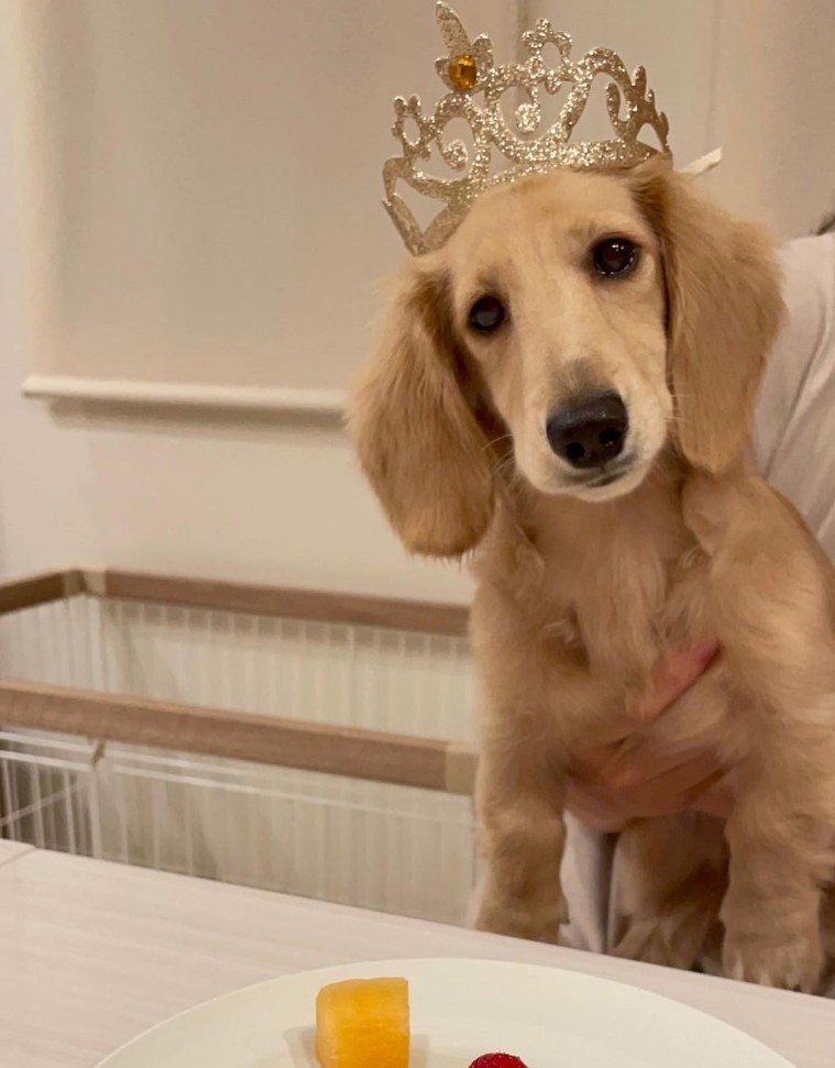 提供：___0516.wanさん