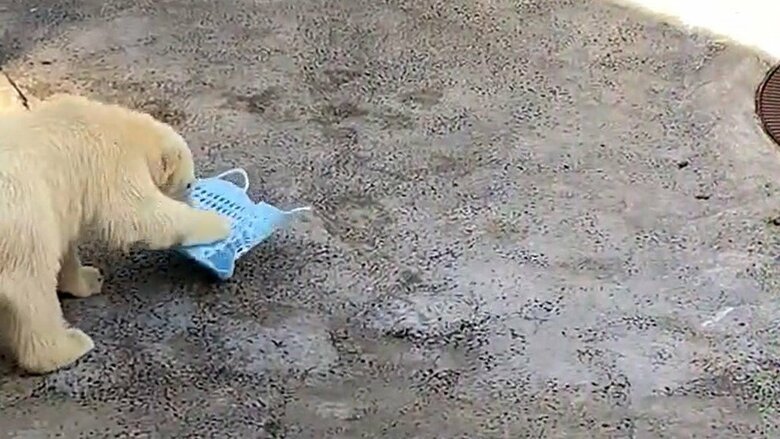 ゆめちゃんの雑巾がけ（その4）方向転換。両手のフィット感をチェック