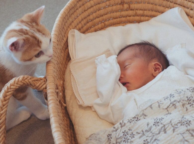 初対面の様子（提供：こなつさん）