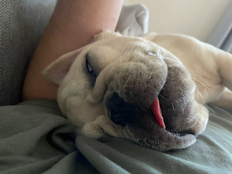 提供：みるくちゃん