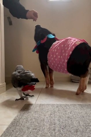 こちらは別の日のお見送りの様子