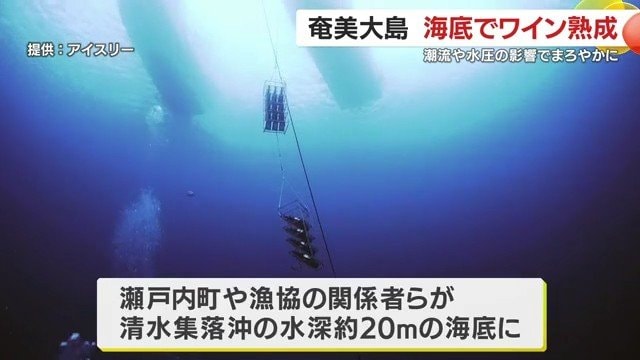 奄美大島で海底熟成ワイン約200本を沈めるプロジェクト再始動
