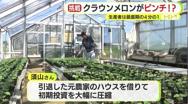 ハウス内で作業をする須山さん