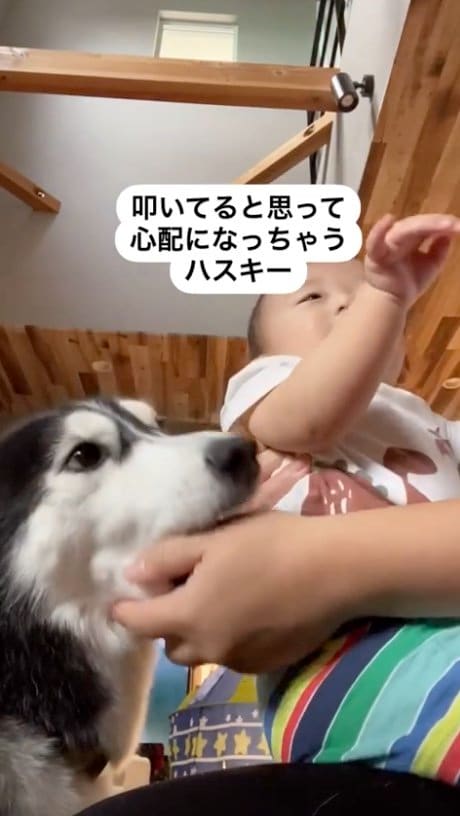 提供：akariさん