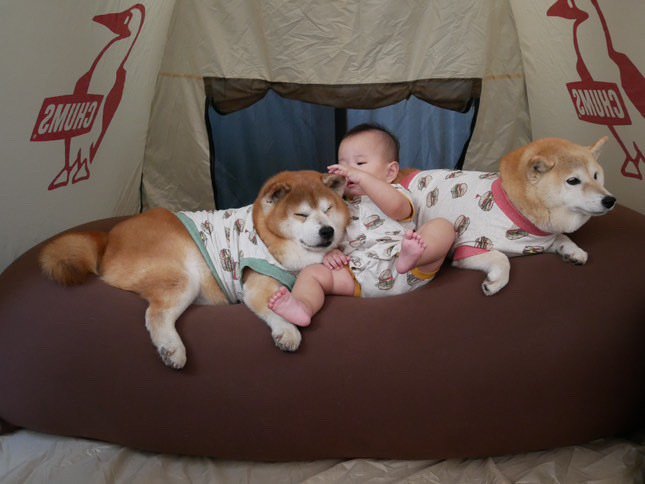 子守りのベテラン？