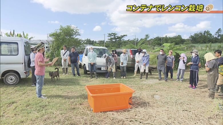 コンテナを使ったレンコン栽培　農家23名が参加（2020年10月）