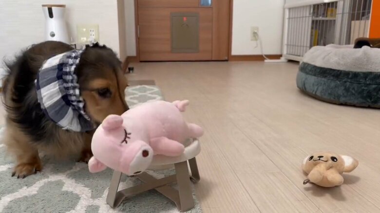 提供：るのんさん