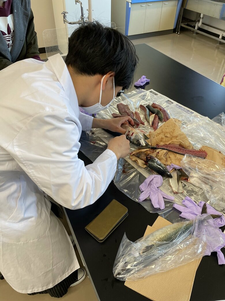 実習（11月）　提供：宮崎大学医学部感染症学講座寄生虫学分野