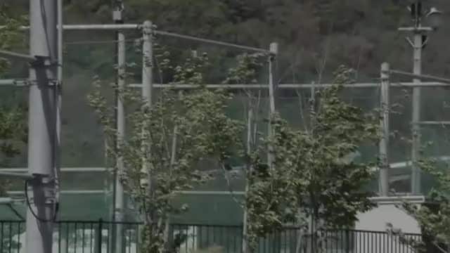 強風で骨組みが首に直撃 男性重傷　北上市 農業用ハウスを直す作業中　岩手県