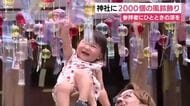 「魔を払う音で日々を清々しく」参拝者にひとときの涼を 神社の境内に2000個の風鈴飾り
