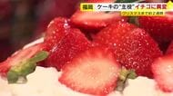イチゴ高騰でクリスマスケーキに影響　1個平均4740円に値上がり　価格抑えたイチゴなし“真っ白な”ケーキも登場