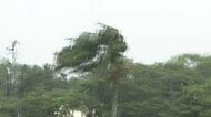 【中継】暴風域の八丈島　非常に激しい雨風が横殴りに　ホテルは玄関前に風よけで車並べ対策　伊豆諸島は最大瞬間風速50m/s予想