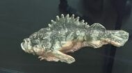 白備前に特産デニム染料「藍」の色をつけ海の生き物を精巧に再現 倉敷市で「陶彫」作家の展覧会【岡山】
