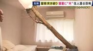 「ドンという音とともに刺さっていた。あおむけで寝ていたのであと数センチで体に当たっていた」和歌山・白浜町　風の影響か　倒木が住宅に突き刺さる