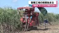 奄美大島でサトウキビの製糖始まる　鹿児島
