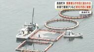 長島町　漁業者対応に追われる　養殖ブリなど１０万匹に赤潮被害　鹿児島県