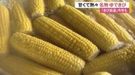 きび街道はじまる