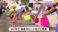 「大きくなって帰ってきてね~」浜田市の豊かな海を体感 小学生がヒラメの稚魚放流(島根)