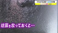 結露からカビを防ぎ家族の健康を守る プロが伝授「結露」対策や…