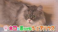 「にゃあ～」お出迎えは“モフモフ” 実は社会問題解決の糸口に　ちょっと変わったシェアハウスが福岡にオープン