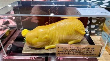 食べるのに勇気が必要!?“ハダカデバネズミ“のスイートポテトがリアルすぎる…“しわ”の再現もすごいけど売れている?