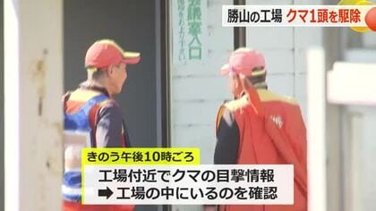 緊急銃猟、1発で命中　クマ1頭を駆除　体長1ｍ20cmの成獣　昨夜からセーレン勝山工場内に居座る　福井県内で2例目