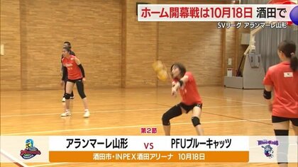 バレーボール・SVリーグ10月開幕！　アランマーレ山形のホーム開幕戦はPFUと18日・全試合日程掲載【山形発】