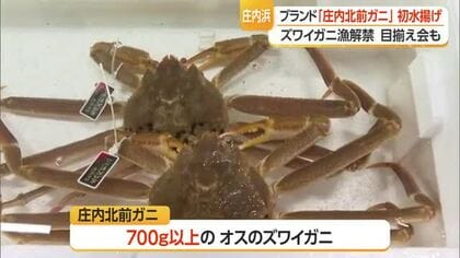 今季初の水揚げも！　「庄内北前ガニ」品質確保へ目揃え会開催　山形