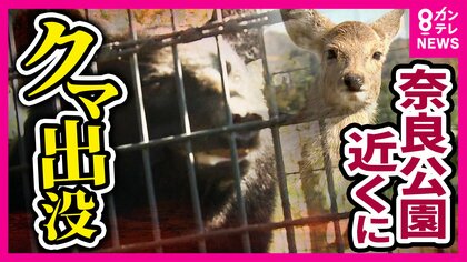 “奈良公園付近”や京都市内の大学グラウンドでも…相次ぐ“クマらしき”目撃情報　「弱ったシカや子鹿襲われる可能性」も　専門家「年内は警戒必要」