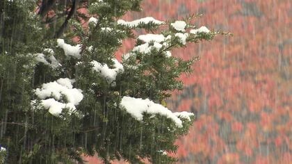「立冬」冬の始まりを告げるように雷がなる荒れた天気 「びっくりしました」札幌は“今季初の積雪”6センチ 道民でも戸惑う雪 北海道