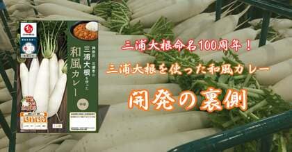 三浦大根命名100周年！伝統を守り、未来へつなぐ「三浦大根を使った和風カレー」開発の裏側