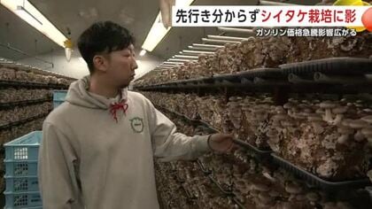 シイタケ栽培に欠かせない灯油が値上がり　横手市の農業法人、灯油に依存しない生産方法を研究　秋田