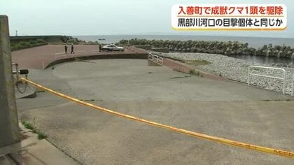 入善漁港近くでクマ駆除　目撃が相次いだ黒部川河口付近の個体か　別個体の存在も否定できず引き続き警戒を