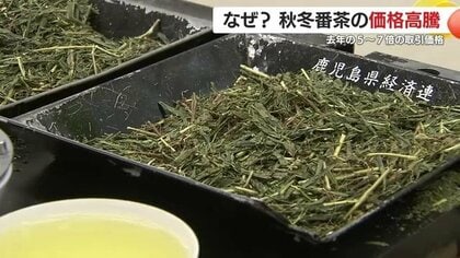 「異常事態」 鹿児島の秋冬番茶、価格が例年の5〜7倍に高騰　 背景に世界的な抹茶ブーム
