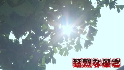 危険な猛暑！エアコンフル稼働でも電気代は節約　注目の「室外機カバー」の効力は？