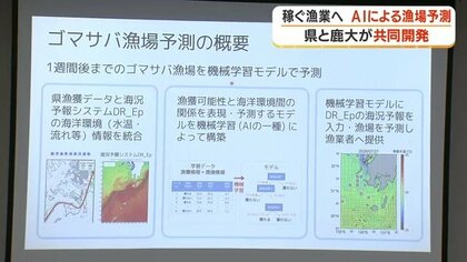 「やみくもに走るのは油の無駄」鹿児島でAI漁場予測スタート、8月から無償提供　県と大学が共同開発