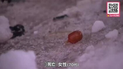 【最新】「大型トラックと乗用車が事故を起こしている」市道の交差点でトラックと乗用車が衝突…乗用車に同乗していた70代の女性が死亡〈北海道札幌市〉