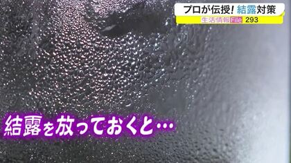 結露からカビを防ぎ家族の健康を守る　プロが伝授「結露」対策や予防法