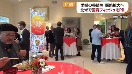 「ただのタイではない」アメリカで“愛育フィッシュ”をＰＲ　料理振る舞い「高評価もらえた」【愛媛】