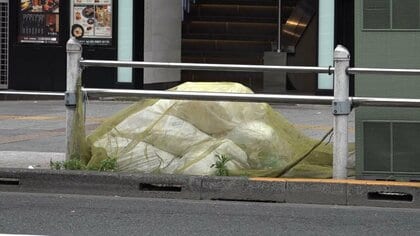 越谷でカラスが“縦横無尽” 自動ドアから駅ビルに進入も 「頭蹴られた