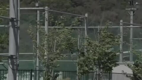 強風で骨組みが首に直撃 男性重傷　北上市 農業用ハウスを直す作業中　岩手県