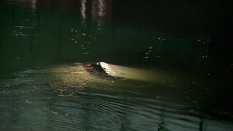 自動車2台が衝突し軽自動車が川に転落　59歳女性が死亡　注意を怠っていた疑いで52歳女を逮捕　広島市