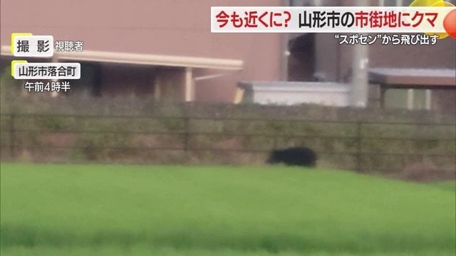 クマ出没