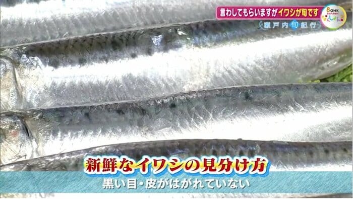 新鮮なイワシの見分け方
