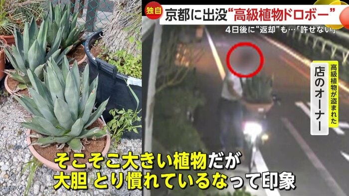 店の植物を自転車のカゴに入れた瞬間(提供:Maestro)
