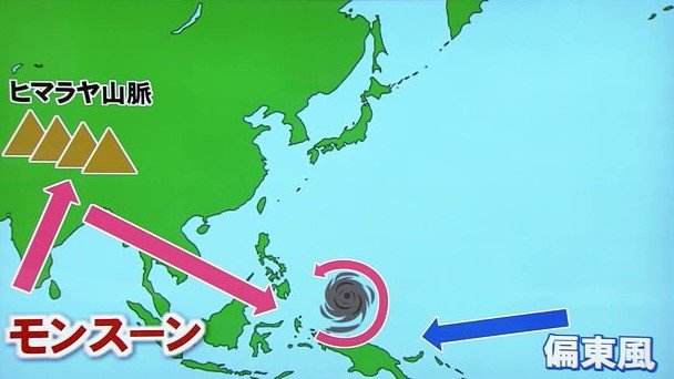 今年の台風の特徴