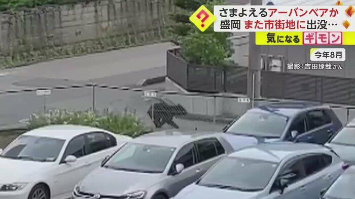 フェンスを越え走り去るクマ