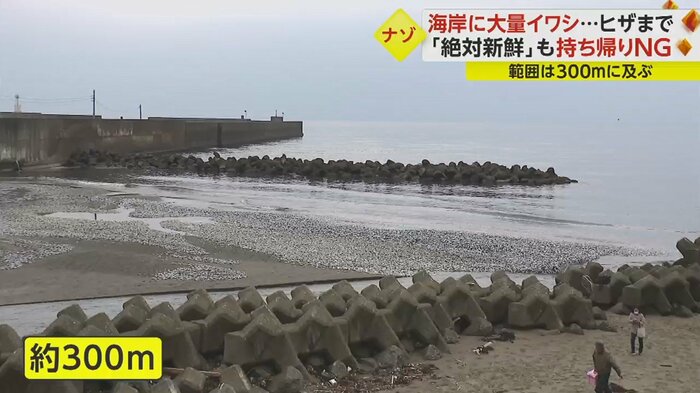 2月6日の夜から7日の朝までに漂着したか