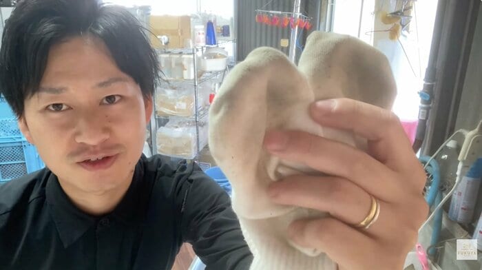 洗濯のお兄さん/しゅんぺいさん