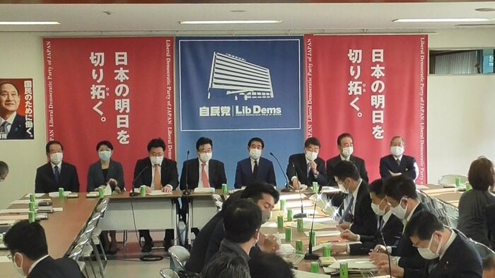 自民党・人生100年時代戦略本部